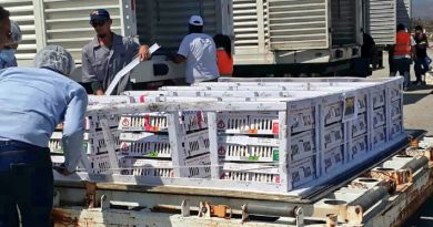 Arriban al país insumos provenientes de Brasil para la producción de pollos
