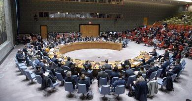 Venezuela triunfa en Consejo de Seguridad de la ONU