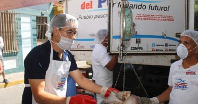 Mil toneladas de pescado ha distribuido MinPesca en Venezuela