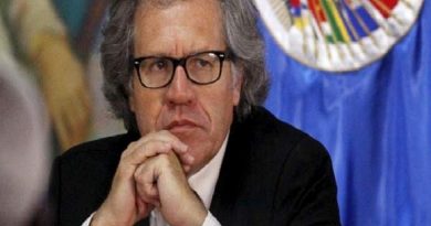 Luis Almagro, OEA