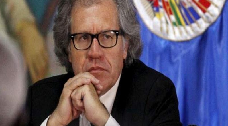 Luis Almagro, OEA