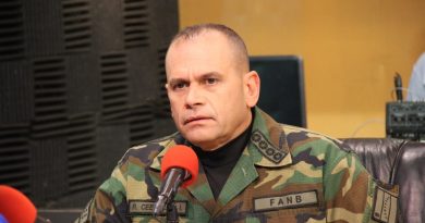 Remigio Ceballos: La paz es fundamental para la FANB