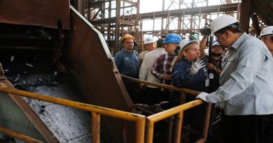 Venezuela vendió al mercado internacional 330 mil toneladas de briquetas en diciembre de 2018