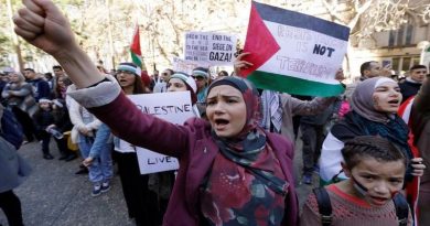 Organizaciones de Palestina convocan protestas para este domingo contra Israel