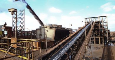 Guayana es la alternativa industrial de la economía nacional