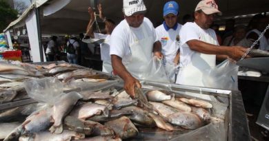 En 20 estados distribuyeron más de 83 mil kilos de pescado el sábado