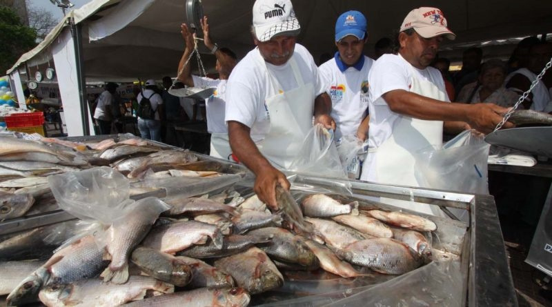 En 20 estados distribuyeron más de 83 mil kilos de pescado el sábado