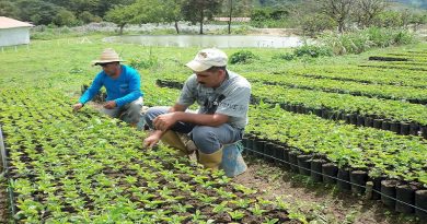 Trujillo impulsa proyecto "Café Pueblo" para la exportación