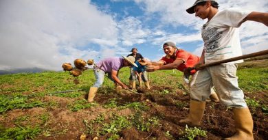 Ejecutivo Nacional entrega financiamientos para 200 conucos de Miranda