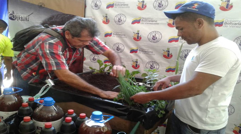 Instalado Primer Encuentro Nacional de Productores de Semillas