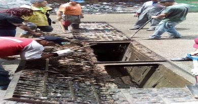 Cuadrillas del GDC continúa embelleciendo Caracas