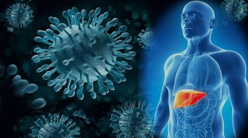 Así puede transmitirse la Hepatitis en sus diferentes tipos