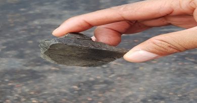 Empresas básicas de Guayana recibirán carbón mineral en Fila Maestra