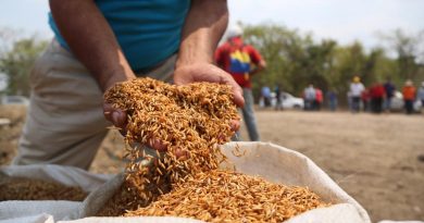 Productores del campo recibieron financiamientos para el trabajo de la tierra en Cojedes