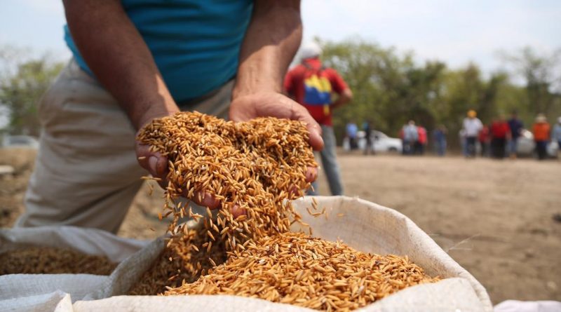 Productores del campo recibieron financiamientos para el trabajo de la tierra en Cojedes