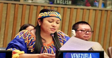 MPPPI y Coalición Internacional de Juristas por la Paz y la Democracia dieron a conocer los logros en materia de revolución de pueblos originarios del país