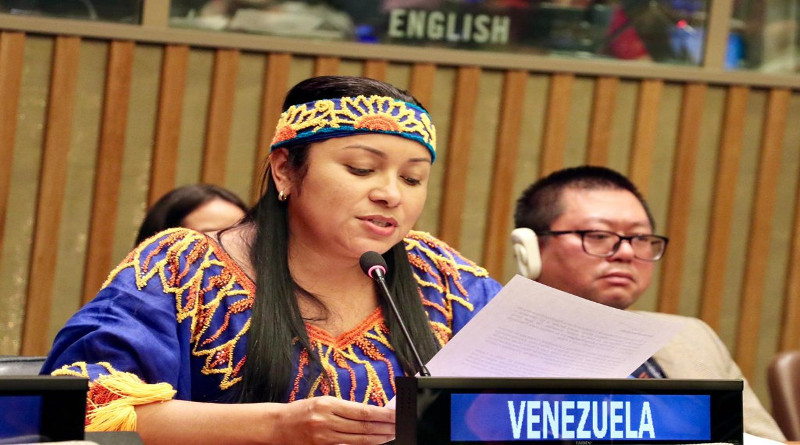 MPPPI y Coalición Internacional de Juristas por la Paz y la Democracia dieron a conocer los logros en materia de revolución de pueblos originarios del país