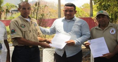 Asociación Civil Palmeros de Chacao subirá al Parque Nacional Waraira Repano, para retirar las palmas que usará la feligresía católica el próximo Domingo de Ramos (Foto Gob. Miranda)