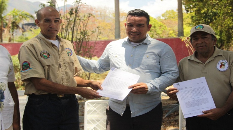 Asociación Civil Palmeros de Chacao subirá al Parque Nacional Waraira Repano, para retirar las palmas que usará la feligresía católica el próximo Domingo de Ramos (Foto Gob. Miranda)