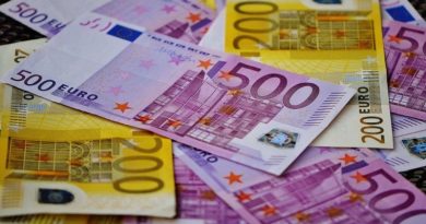 Euro cierra con ligera alza en subasta 125 del Mercado Cambiario