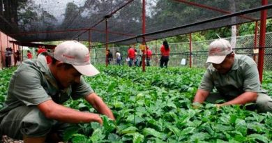 Universidad Ezequiel Zamora impulsa proyectos productivos en Barinas