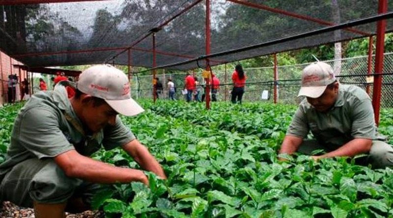 Universidad Ezequiel Zamora impulsa proyectos productivos en Barinas
