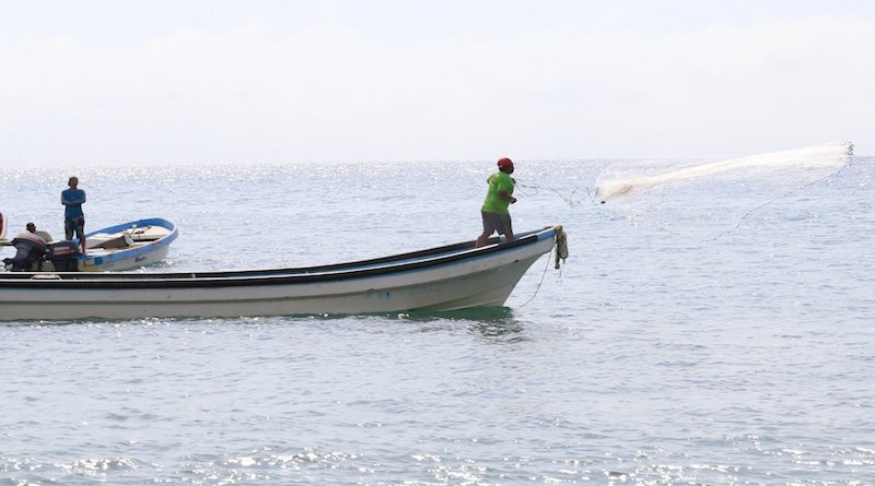 Plan Nacional de Pesca y Acuicultura 2019 proyecta producción de 300 mil toneladas métricas de especies marinas