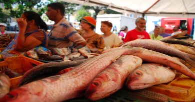 Ferias del Pescado expendió sus productos en 15 estados del país