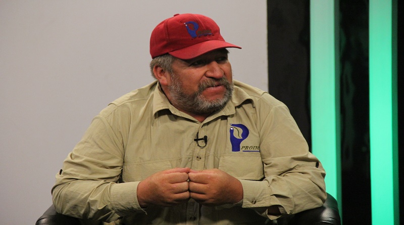 Productores merideños siembran más de 200 hectáreas de trigo en Mucuchíes