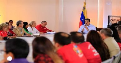 Victoria Popular en elecciones para la AN cerrarán ciclo conspirativo (Foto Prensa Presidencial)