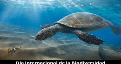 Presidente Maduro insta a sumarse a la conservación de la vida en el planeta