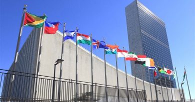 ONU lanzará un programa para detectar terroristas en vuelos internacionales