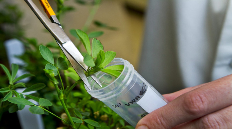 Uticex rediseñará procesos logísticos para garantizar semillas e insumos para la producción