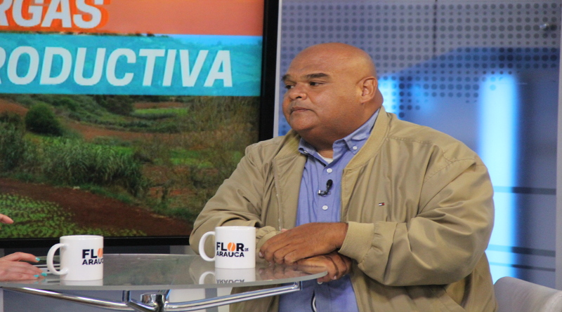 Cerca de 600 toneladas de alimentos se venden en mercado a cielo abierto del estado Vargas