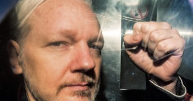 EE.UU. presenta incompleto expediente sobre caso Assange