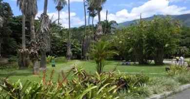 Gobierno Bolivariano inicia recuperación del Jardín Botánico