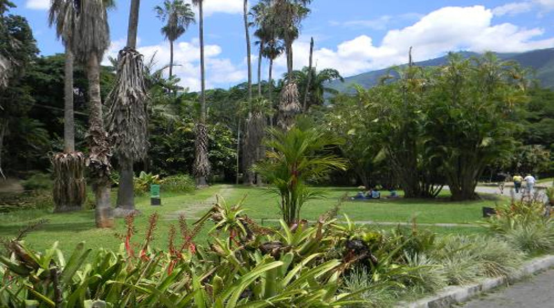 Gobierno Bolivariano inicia recuperación del Jardín Botánico