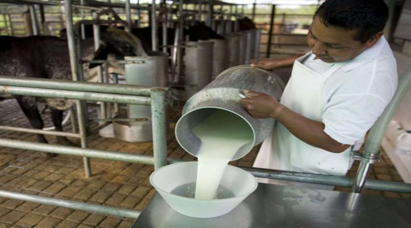 Investigadores descubren que espuma derivada de producto lácteo muestra mayor resistencia al calor