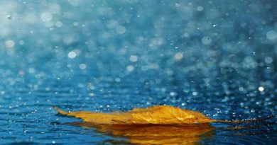 Este viernes continuarán precipitaciones en parte del país