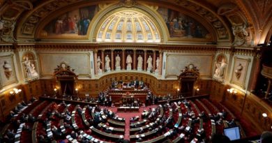 Impuesto digital aprobado por Senado francés recaudará 500 millones de euros este año
