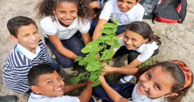 Sembrarán más de 50 mil plantas en el estado Lara