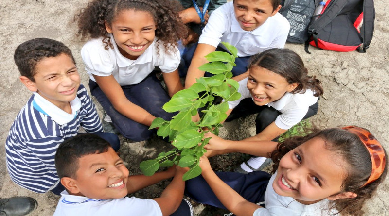 Sembrarán más de 50 mil plantas en el estado Lara