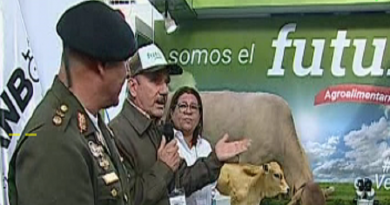 Vaca "Orinoco": consolidación de un proyecto venezolano de genética para expandir la ganadería tropical