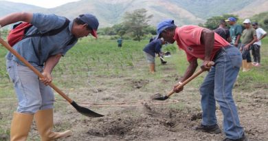 Presidente Maduro aprueba financiamiento por más de 228 mil millones para Plan de Siembra 2019
