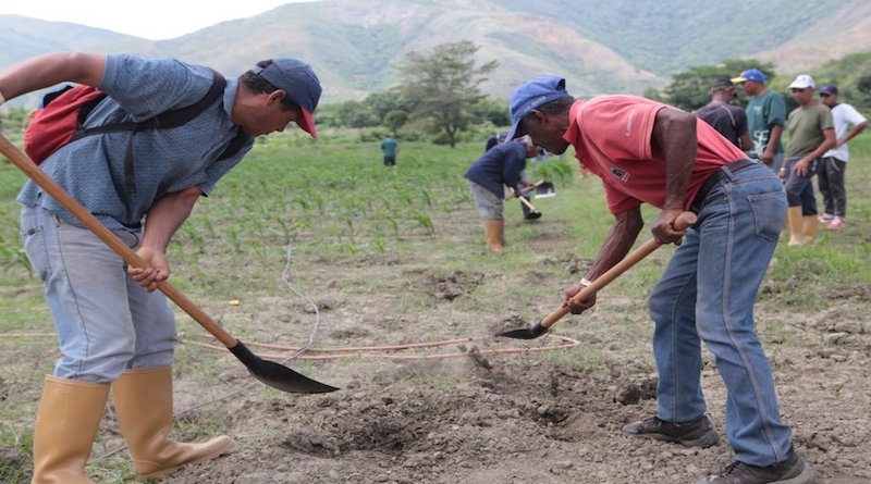 Presidente Maduro aprueba financiamiento por más de 228 mil millones para Plan de Siembra 2019