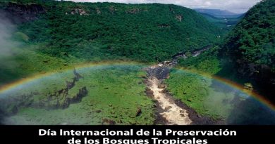 En Día de los Bosques Tropicales, Venezuela suma esfuerzos para revertir daños causados por el capitalismo