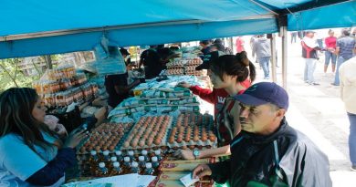 Más de 12 mil familias de la comunidad Vista Hermosa en Petare se benefician con Feria del campo soberano