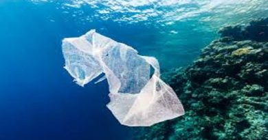 Investigaciones arrojan que micropartículas de plástico suspendidas en el mar produce cáncer