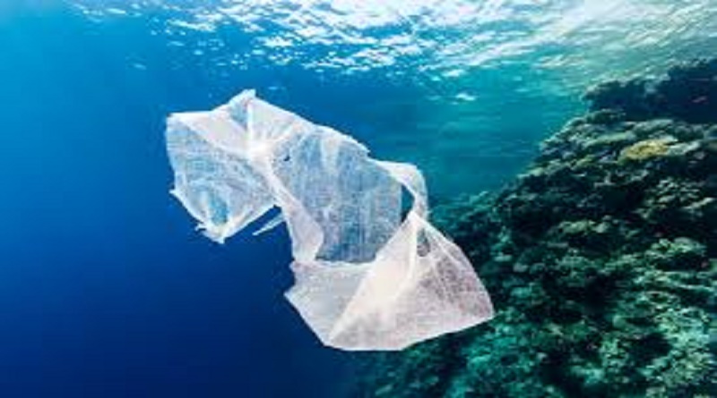 Investigaciones arrojan que micropartículas de plástico suspendidas en el mar produce cáncer