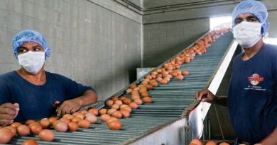 Banco del Tesoro adjudicó más de Bs. 33 mil millones para producción de alimentos entre junio 2018-2019
